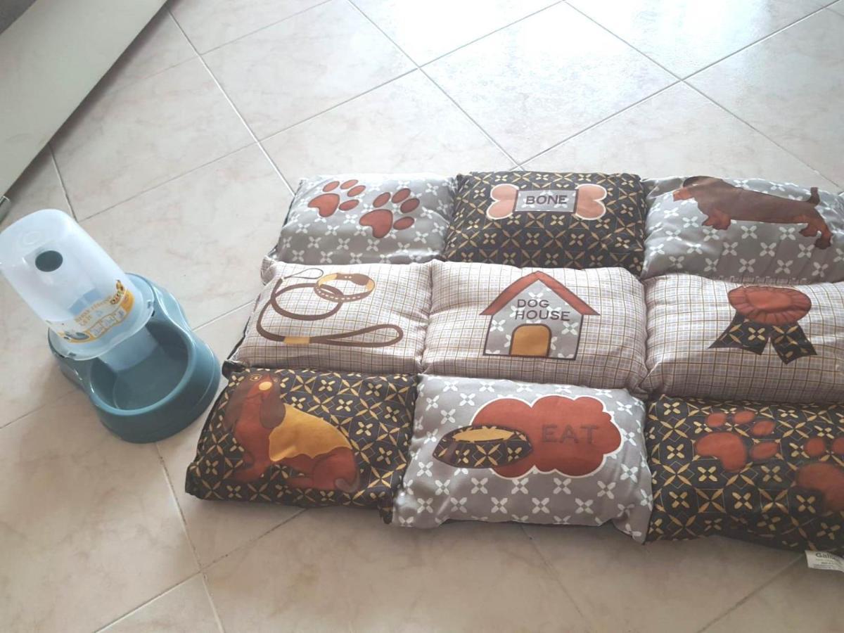 Isotta Guest House Family E Pet Friendly Perugia Exteriér fotografie